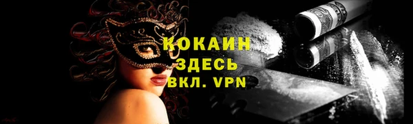 сатива Инта