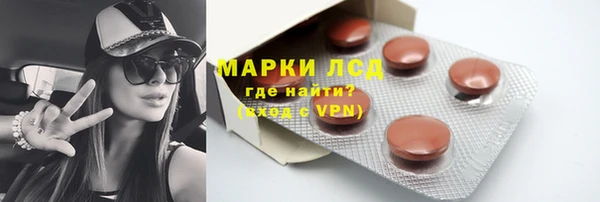 ПСИЛОЦИБИНОВЫЕ ГРИБЫ Алзамай