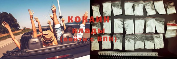 ПСИЛОЦИБИНОВЫЕ ГРИБЫ Алексин