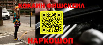 индика Кингисепп