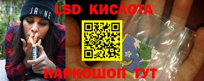 индика Кингисепп