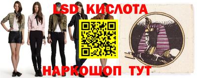 индика Кингисепп