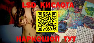 индика Кингисепп