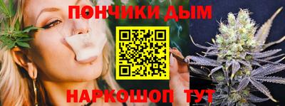 индика Кингисепп