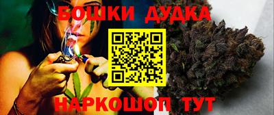 индика Кингисепп