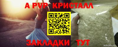 индика Кингисепп