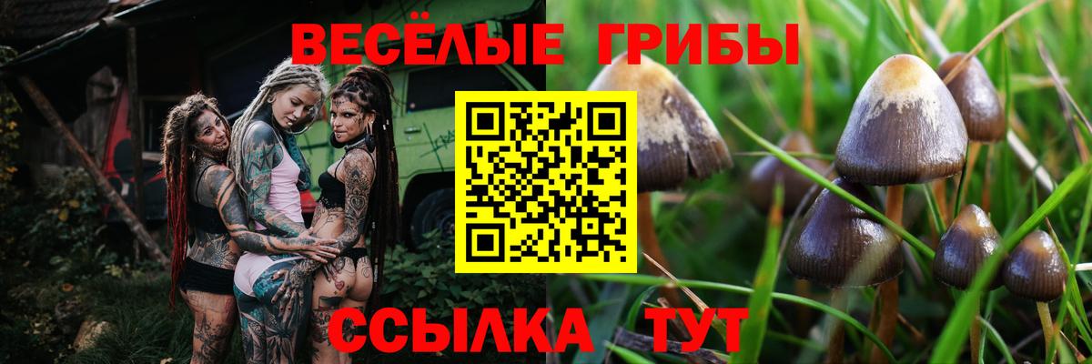 Cocaine  ТГК  Вход с VPN  APVP СОЛЬ кристаллы  Гашиш  Где найти наркотики?  МЕФ кристаллы  Красноуфимск  Каннабис  Лсд 25 